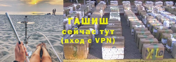 прущие грибы Армянск