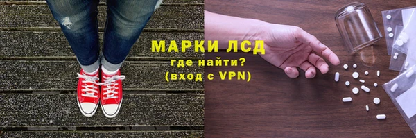 прущие грибы Армянск