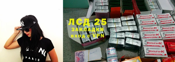 прущие грибы Армянск