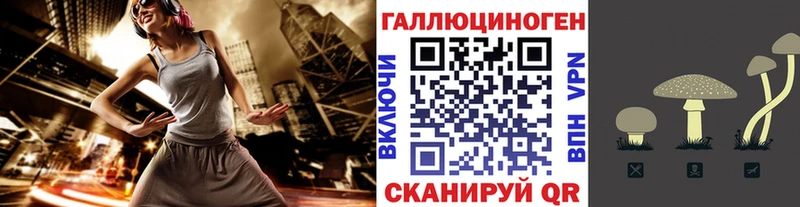 Галлюциногенные грибы прущие грибы  Малоярославец 